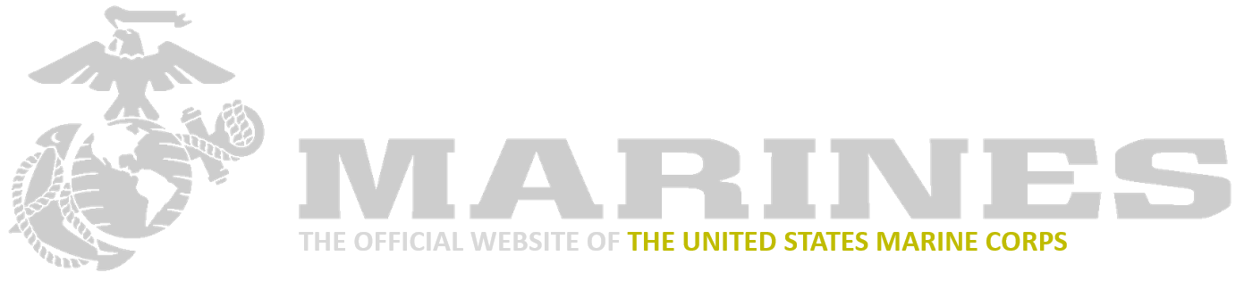 Colonel David R. Everly > Training Command > Biography