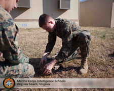 mcis