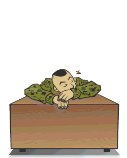 Animation