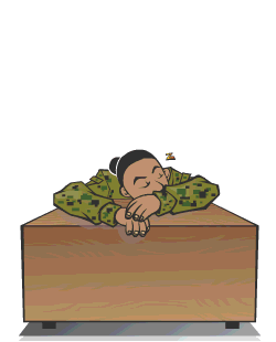 Animation