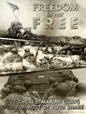 freedom is not free