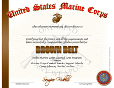 brown belt